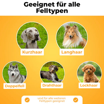 WuffBürste